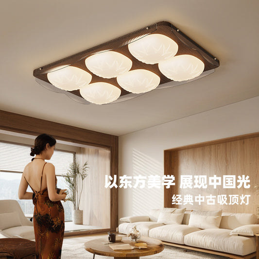 Rectangular living room lamp - Tmall Genius
